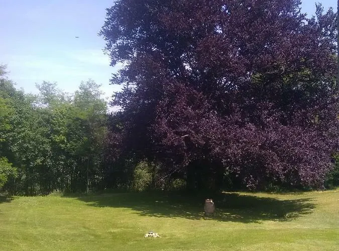 Pierre Deluen Domaine De La Grange De Quaire Chassenon