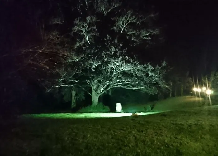 Bed & Breakfast Pierre Deluen Domaine De La Grange De Quaire